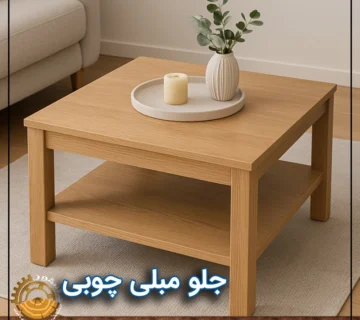 ۵ راهکار عملی برای از بین بردن شیش چوب